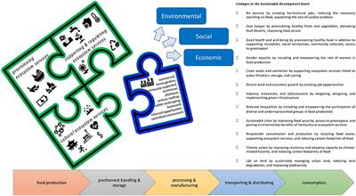 Urban horticulture for sustainable food systems